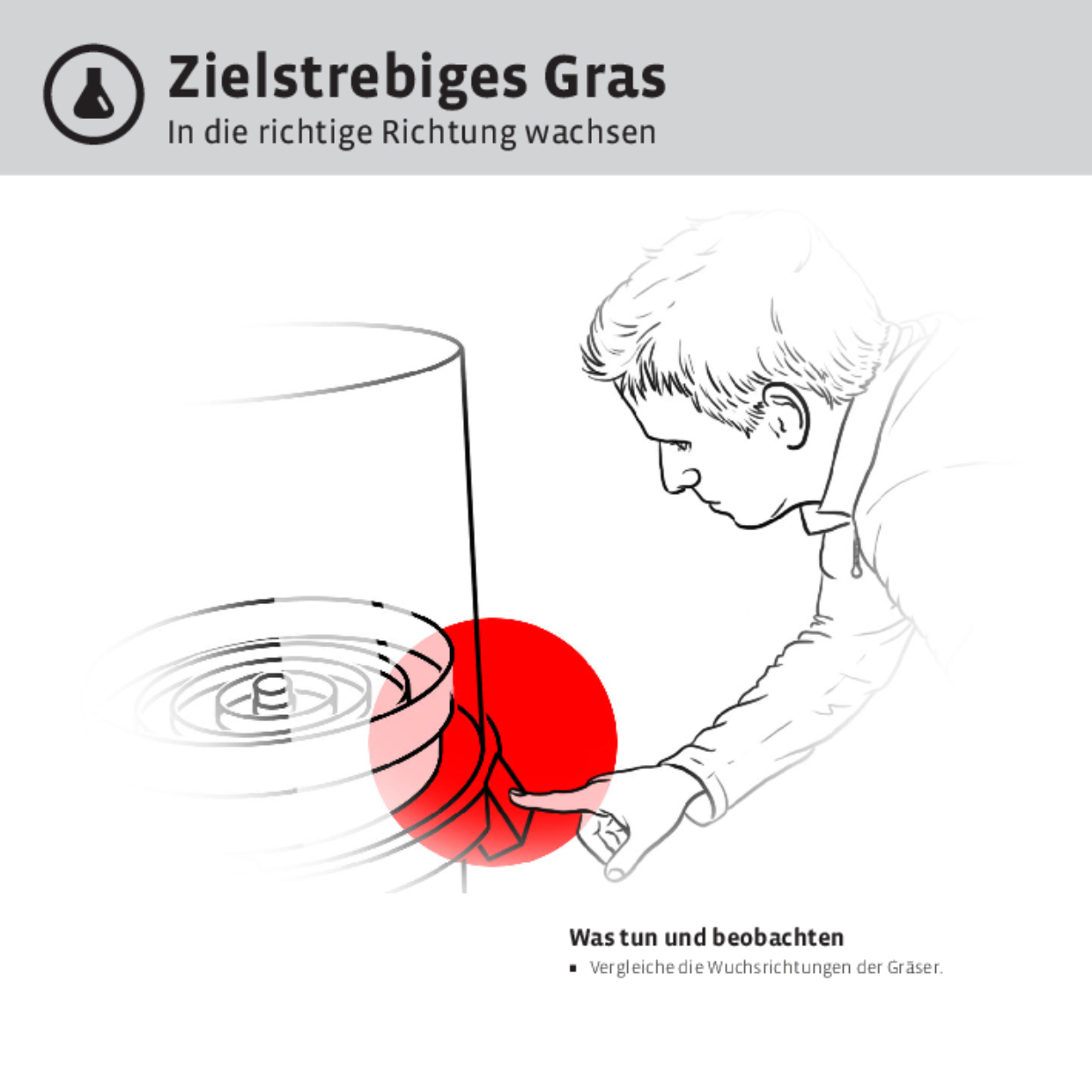 11786 Zielstrebiges Gras DEFI