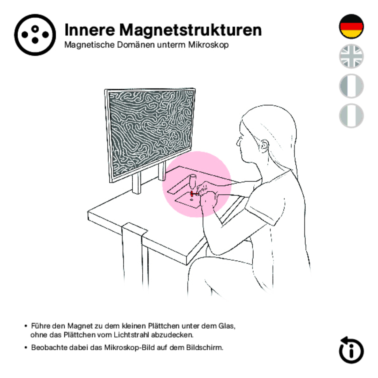 11975 Innere Magnetstrukturen DEFI