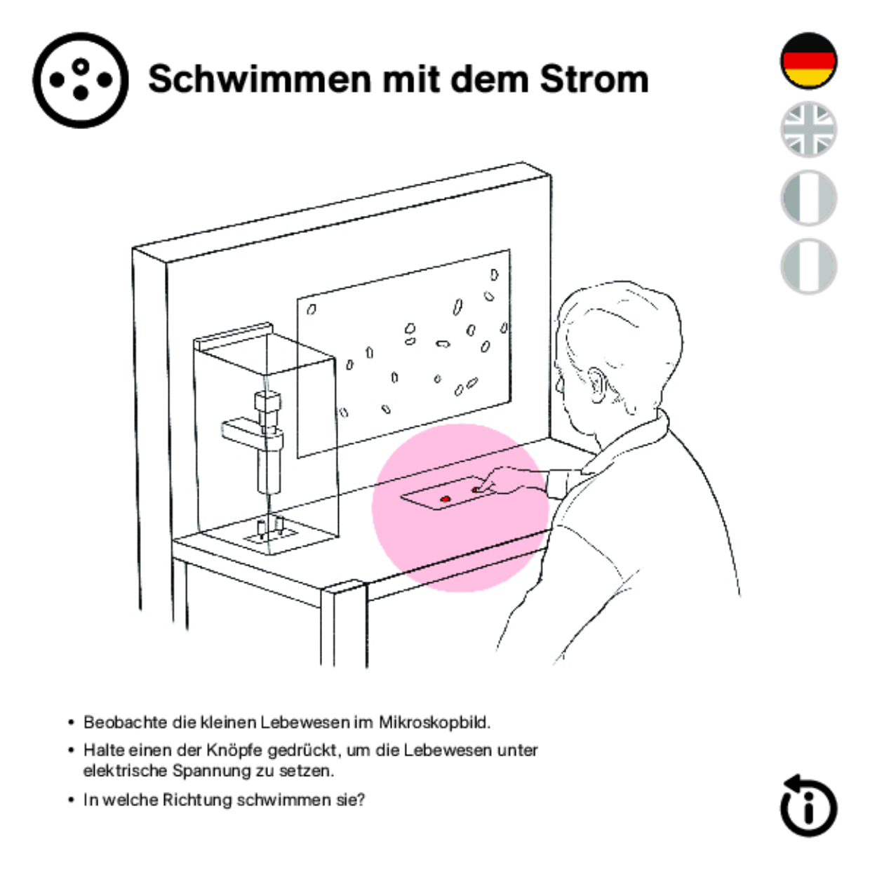 11986 Schwimmen mit dem Strom DEFI