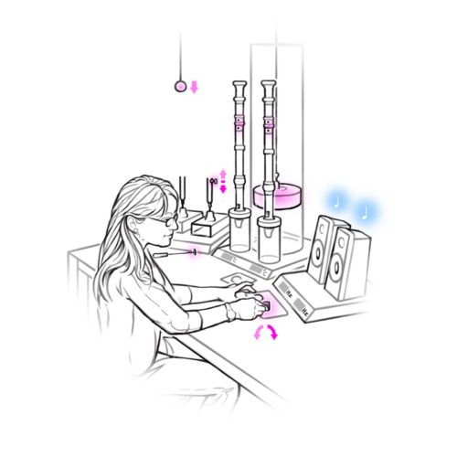 11394 Illustration alt