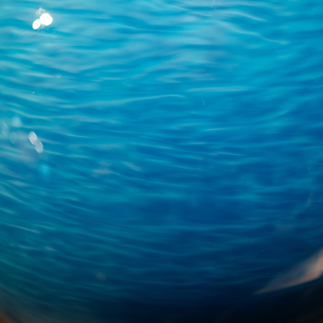 10072 Detail