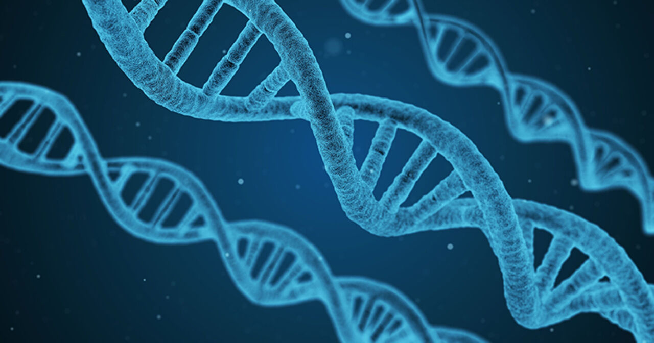 DNA rechts