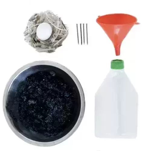 Material Bakteriopolis